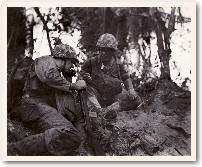 Shofner H+3 hour D-Day Peleliu.